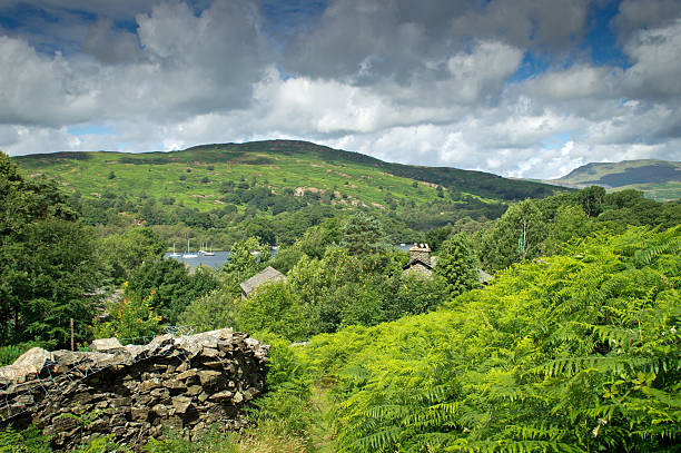 vista desde brock barrow hacia nibthwaite - nibthwaite fotografías e imágenes de stock