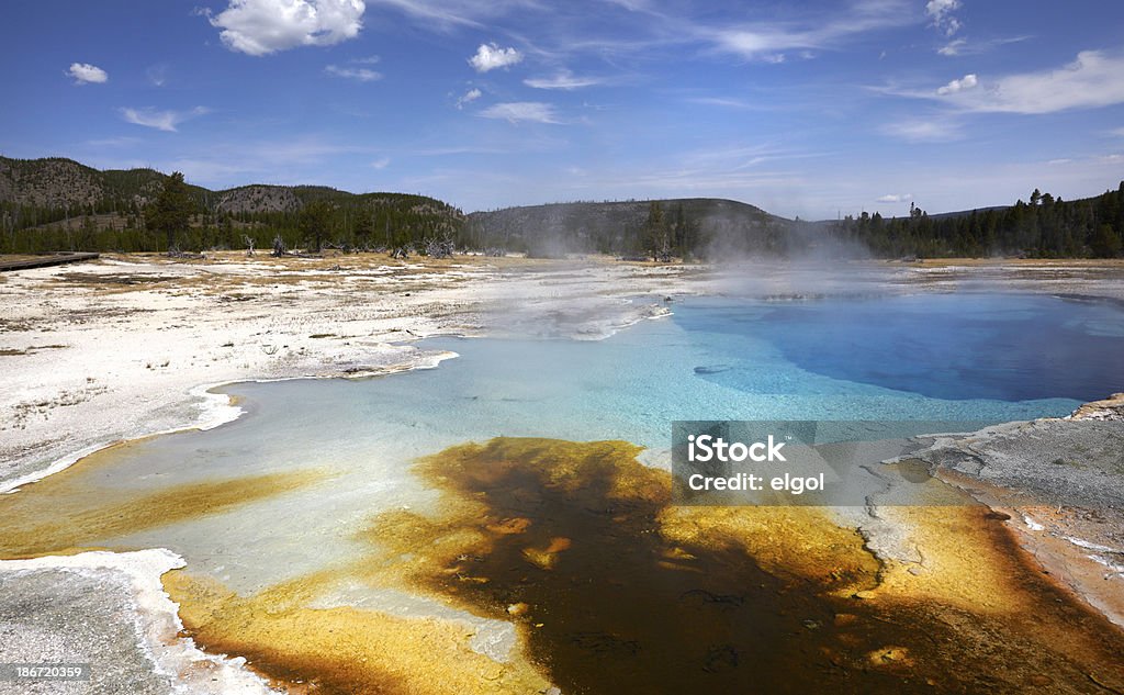 Yellowstone: Piscina Sapphire, palma de lavabo - Foto de stock de Agua libre de derechos