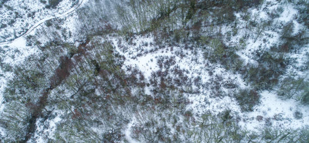 istock zenithal aerial drone view of a snow covered mountain 1867206357