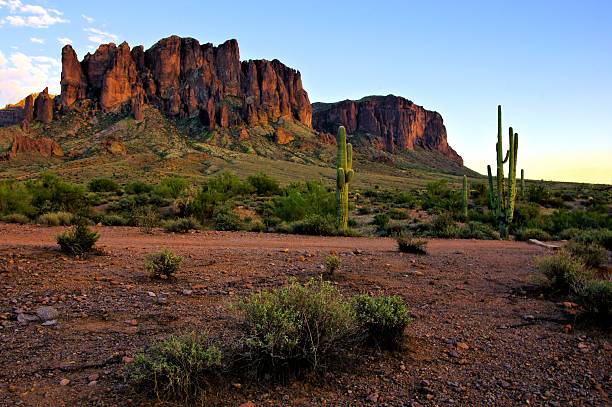 istock Arizona mountains and cacti at dusk, USA 186721265