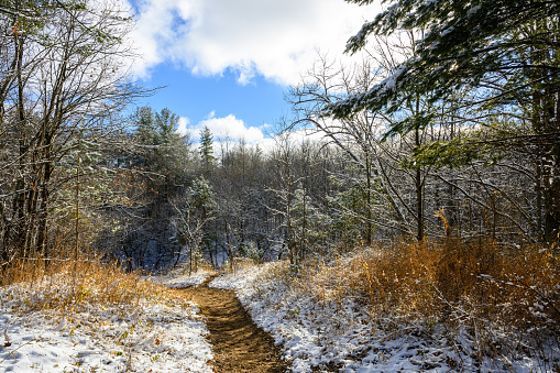 Nature after snowfall, picturesque landscape