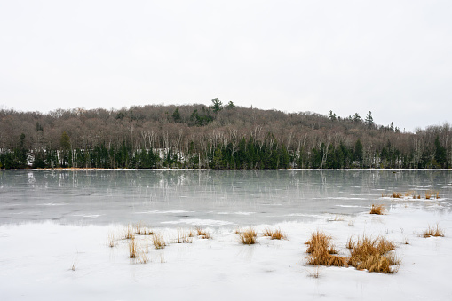 Winter scenery in Algonquin Pronvincial Park, Canada