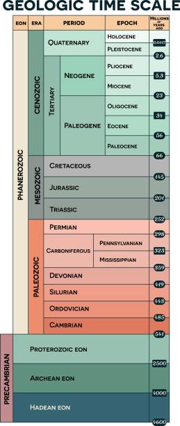 ilustrações de stock, clip art, desenhos animados e ícones de colorful geologic time scale - precambrian time