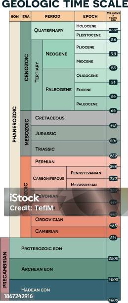 Colorful Geologic Time Scale Stock Illustration - Download Image Now ...