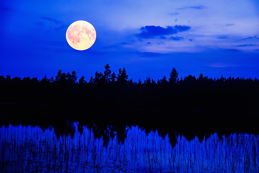 Digital composite view lake with silhouetted trees and mountain seen in moonlight in the Lake District of Cumbria, England.