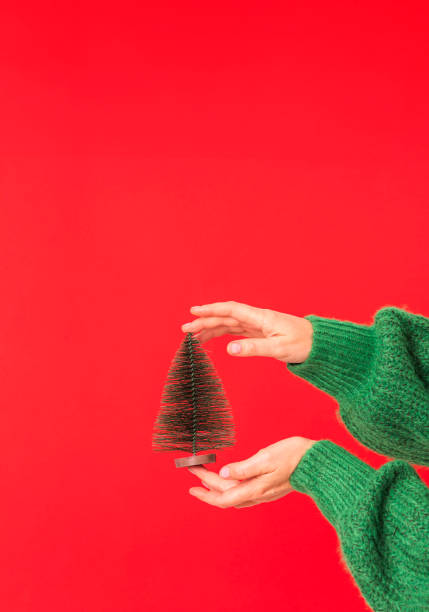 primo piano del palmo di una donna in un maglione verde che tiene un piccolo albero di natale su uno sfondo rosso - christmas fashion model human arm beautiful foto e immagini stock