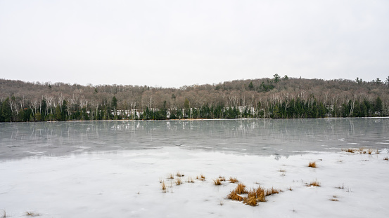 Frozen lake covered with snow among the wood and reeds in hoarfrost in cold silent winter day.