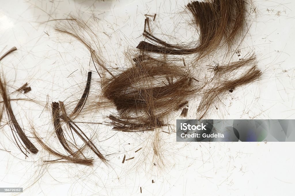 Cut Hair Cut hair on the floor Cutting Stock Photo