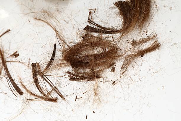 Cut Hair Cut hair on the floor endland stock pictures, royalty-free photos & images