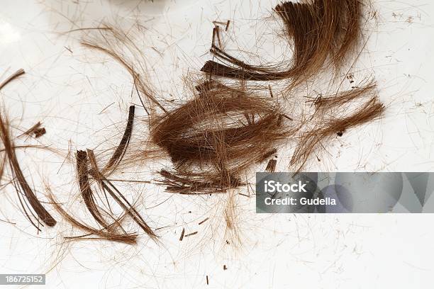 Cut Hair Stock Photo - Download Image Now - Cutting, Flooring, Land