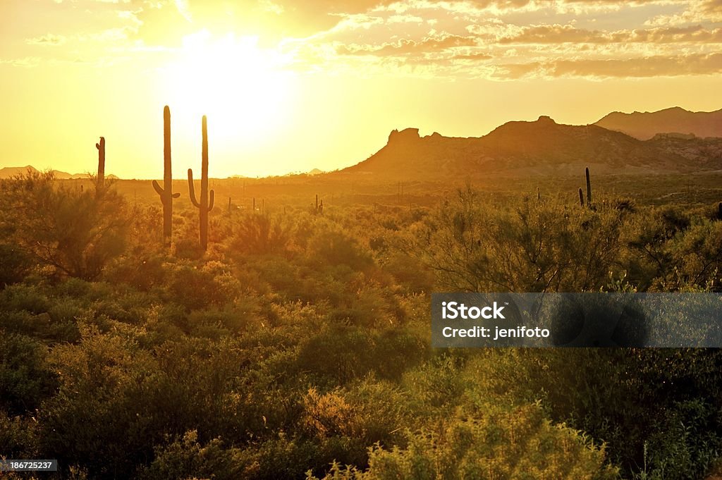 Vue sur le coucher du soleil du désert, Arizona, États-Unis - Photo de Coucher de soleil libre de droits