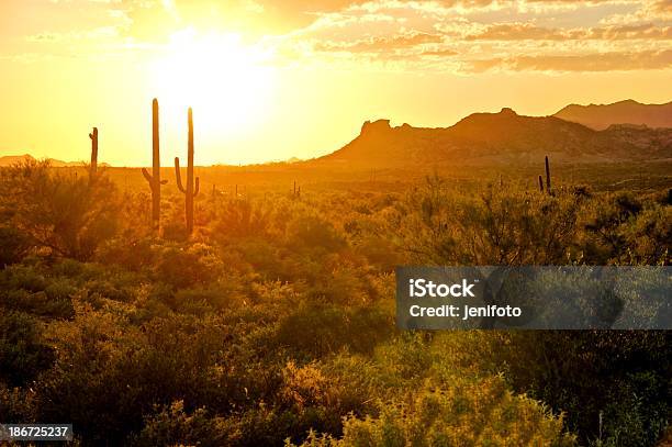 Vista De Pôrdosol Deserto Do Arizona Eua - Fotografias de stock e mais imagens de Pôr-do-sol - Pôr-do-sol, Phoenix - Arizona, Arizona