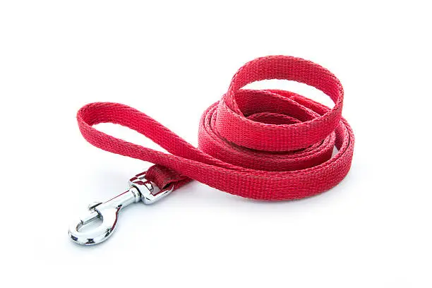 Photo of dog leash