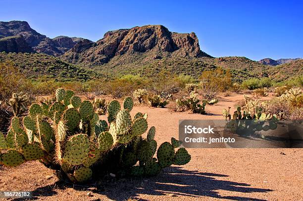 Arizona Desert Stockfoto und mehr Bilder von Anhöhe - Anhöhe, Arizona, Ausgedörrt