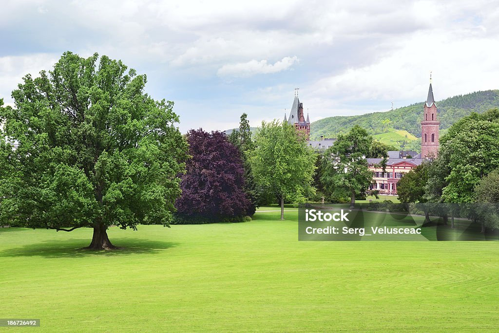 Palace in Weinheim, Germany Agricultural Field Stock Photo