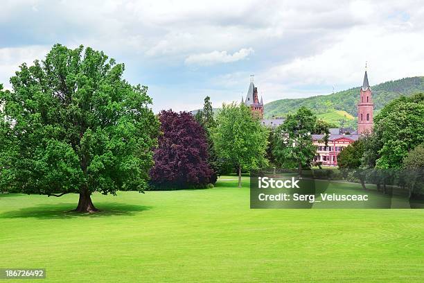 Palace In Weinheim Germany Stock Photo - Download Image Now - Agricultural Field, Beauty In Nature, Blue