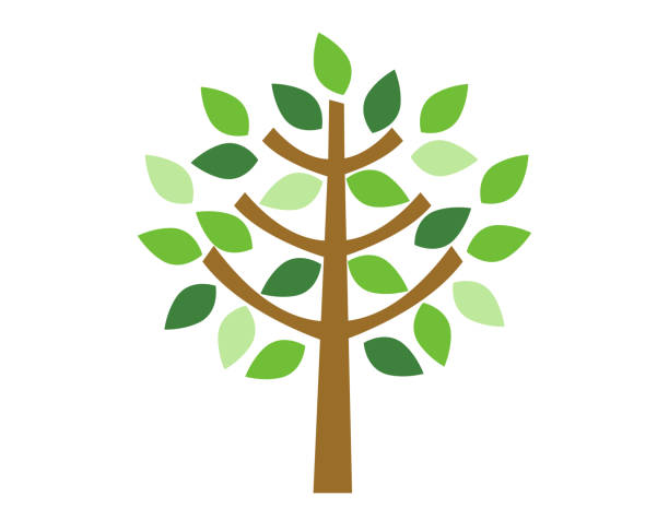 Tree Color Simple 690,300+ Simple Tree Pic Stock Photos, Pictures & Royalty-Free Images ...