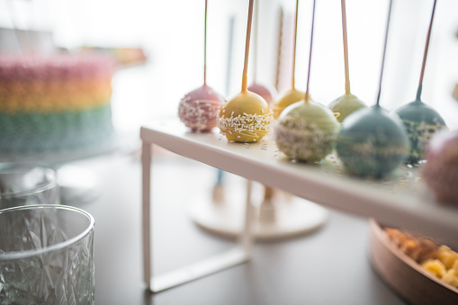 An eye-catching collection of pastel cake pops stands ready to delight guests at a joyful baby shower celebration.