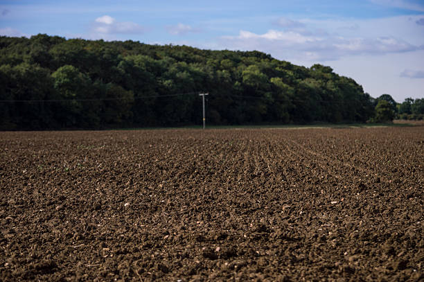 istock Plowed Farmer's Field against Blue Sky 186728194