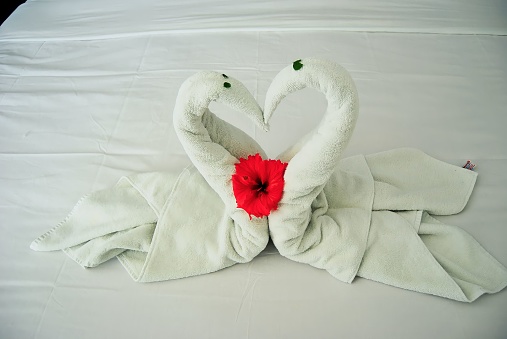 Hotel complimentary welcome towel folded into beautiful swans.