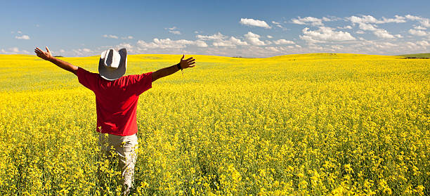 istock Happy Man in Canola Field 186729136