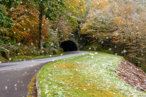 Seasonal autumn colors on winding street on Blue Ridge Mountain. Smoky Mountains National Park