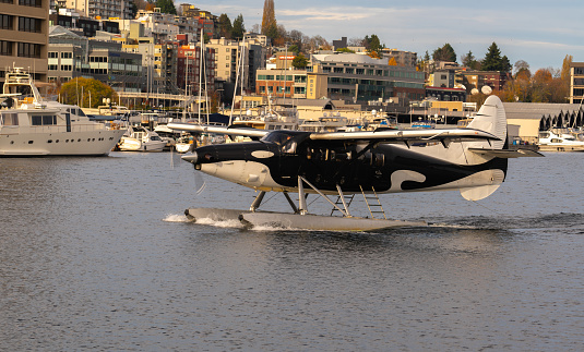 Hydroplane at Lake union Park, Seattle Washington