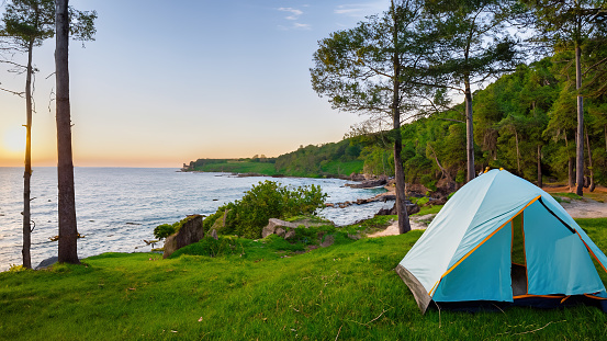 A blue tent on the shore by the woods. Tourism