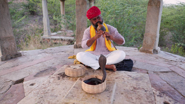 istock Indian snake charmer, Jaipur, Rajasthan 1867345788