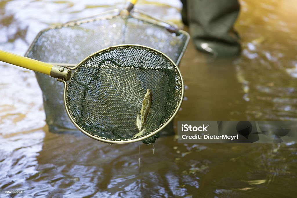 electrofishing - 로열티 프리 수질 오염 스톡 사진