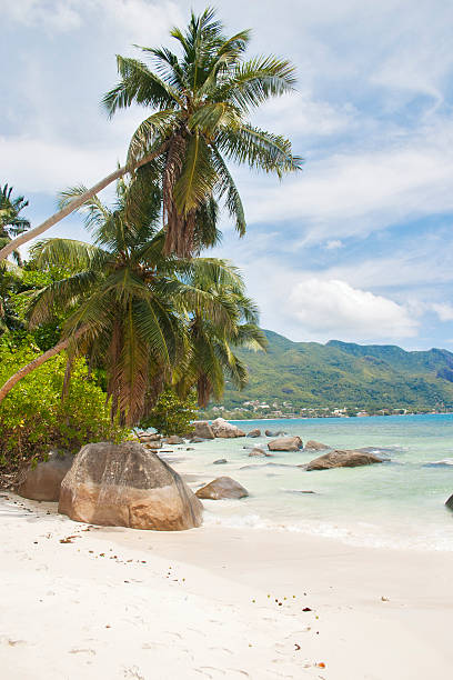 istock Beau Vallon bay on Seychelles 186734904