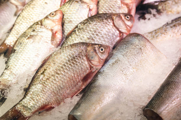 istock Fresh raw fish in ice on the counter in a grocery store. 1867357073