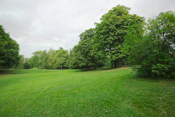istock Green park  with large old decideous trees and shaded areas. 186736298