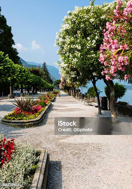 Belaggio Italia Colorato Lungo Viale Di Alberi Nel Parco Pubblicoxxxl - Fotografie stock e altre immagini di Acqua