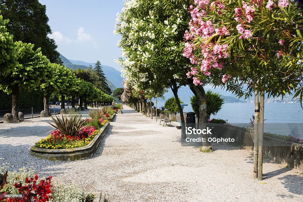 Belaggio, Italy- Colorful trees along promenade in public park-XXXL Belaggio, Italy- Colorful blossoming trees along the promenade in public park Lake Como Stock Photo