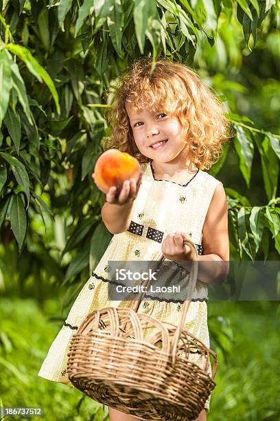 Foto de Harvest e mais fotos de stock de Menina - Menina, Pessegueira, Pêssego