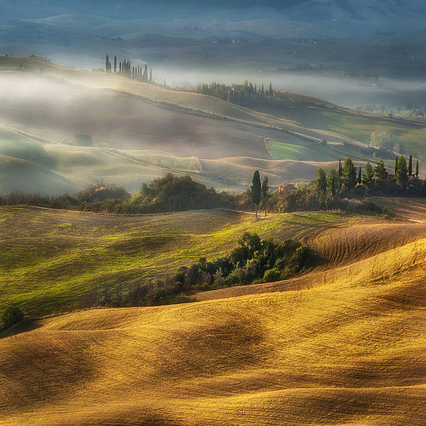 istock Fogy morning on the hill in Tuscany 186737806