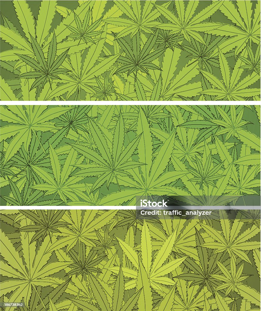 Marijuana banery - Grafika wektorowa royalty-free (Konopie - Rodzina konopiowatych)