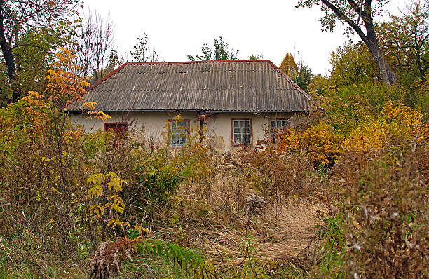 포기됨 하우스 - forest hut window autumn 뉴스 사진 이미지