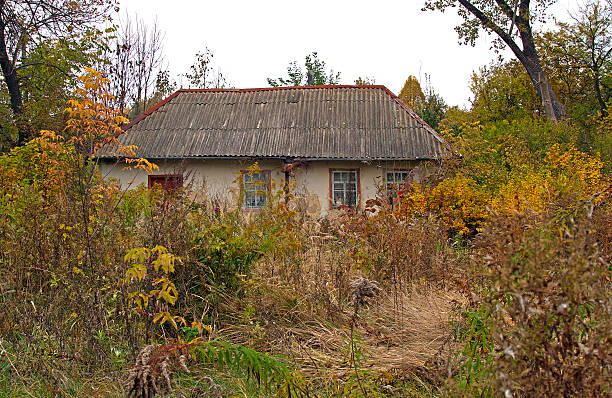 opuszczony dom - forest hut window autumn zdjęcia i obrazy z banku zdjęć