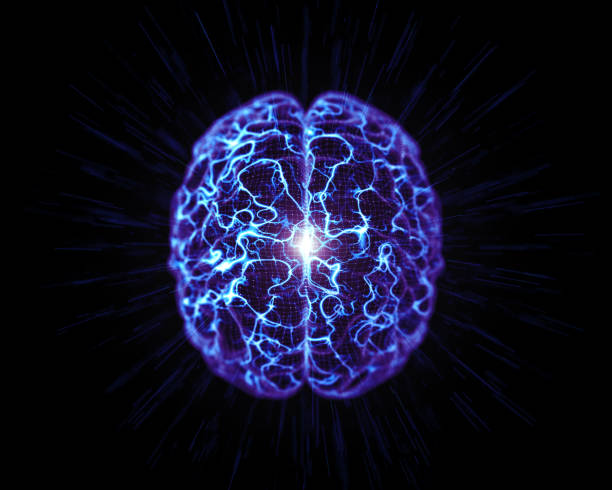 Human brain made of paper  isolated on blue background