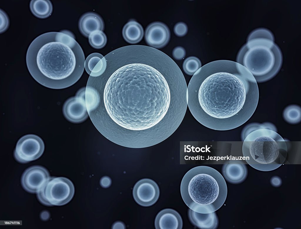 Cellules sous microscope - Photo de Cellule humaine libre de droits