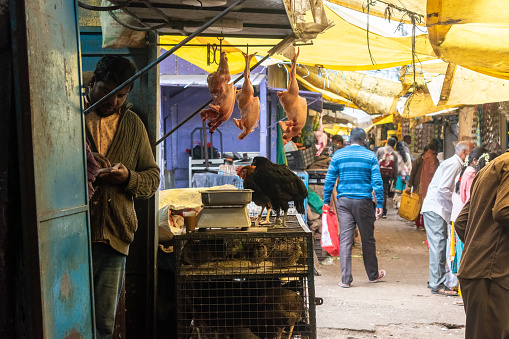 Ooty, Tamil Nadu, India - October 6 2023: An Indian man selling poultry and raw meat at his shop in the market.
