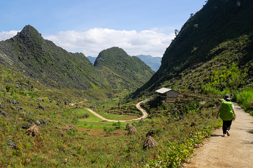 Ha Giang, Vietnam – 10.16.2023: Female hiker with backpack walking the sky path through the lush green mountains and fields on the Ha Giang Loop in northern Vietnam