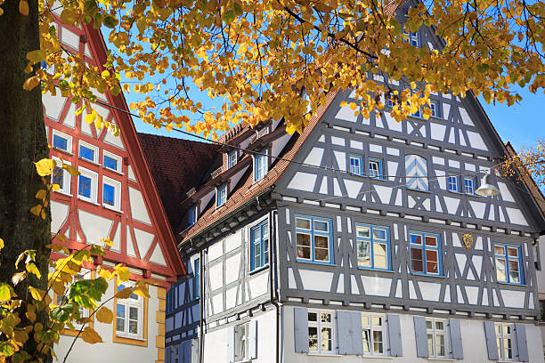 Half-Timbered houses in Ulm, Germany Half-Timbered houses in Ulm, Germany. Autumnal tree in the foreground. ulm germany stock pictures, royalty-free photos & images