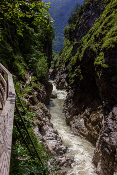 istock Nice small river with stone and trees flow through valley in Austria mountain 1867437236