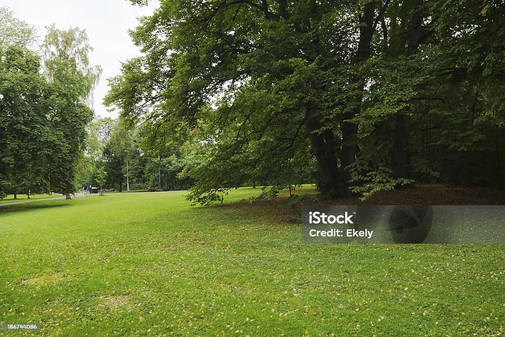 Green park mit großen alten decideous Bäumen und schattige Bereiche. - Lizenzfrei Baum Stock-Foto