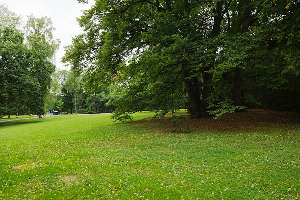 istock Green park  with large old decideous trees and shaded areas. 186744086