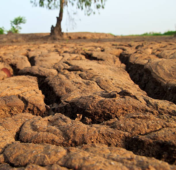 istock dry earth texture at thailand 186744756