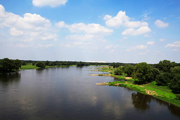 Landscape with the river the Elbe at Hohenwarthe, Germany